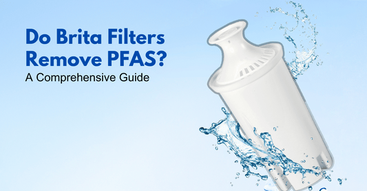 Do Brita Filters Remove PFAS? A Comprehensive Guide