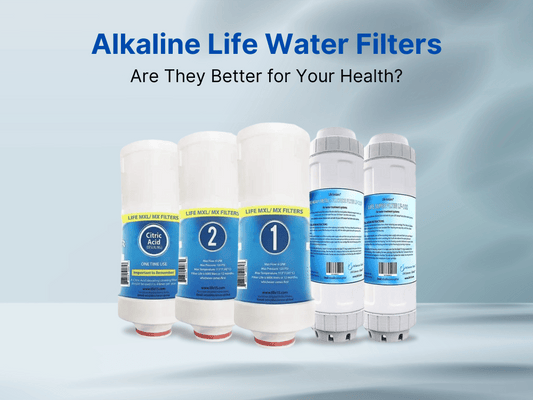 alkaline water filter system