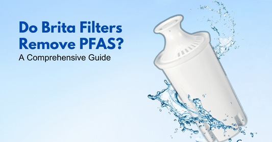 Do Brita Filters Remove PFAS? A Comprehensive Guide