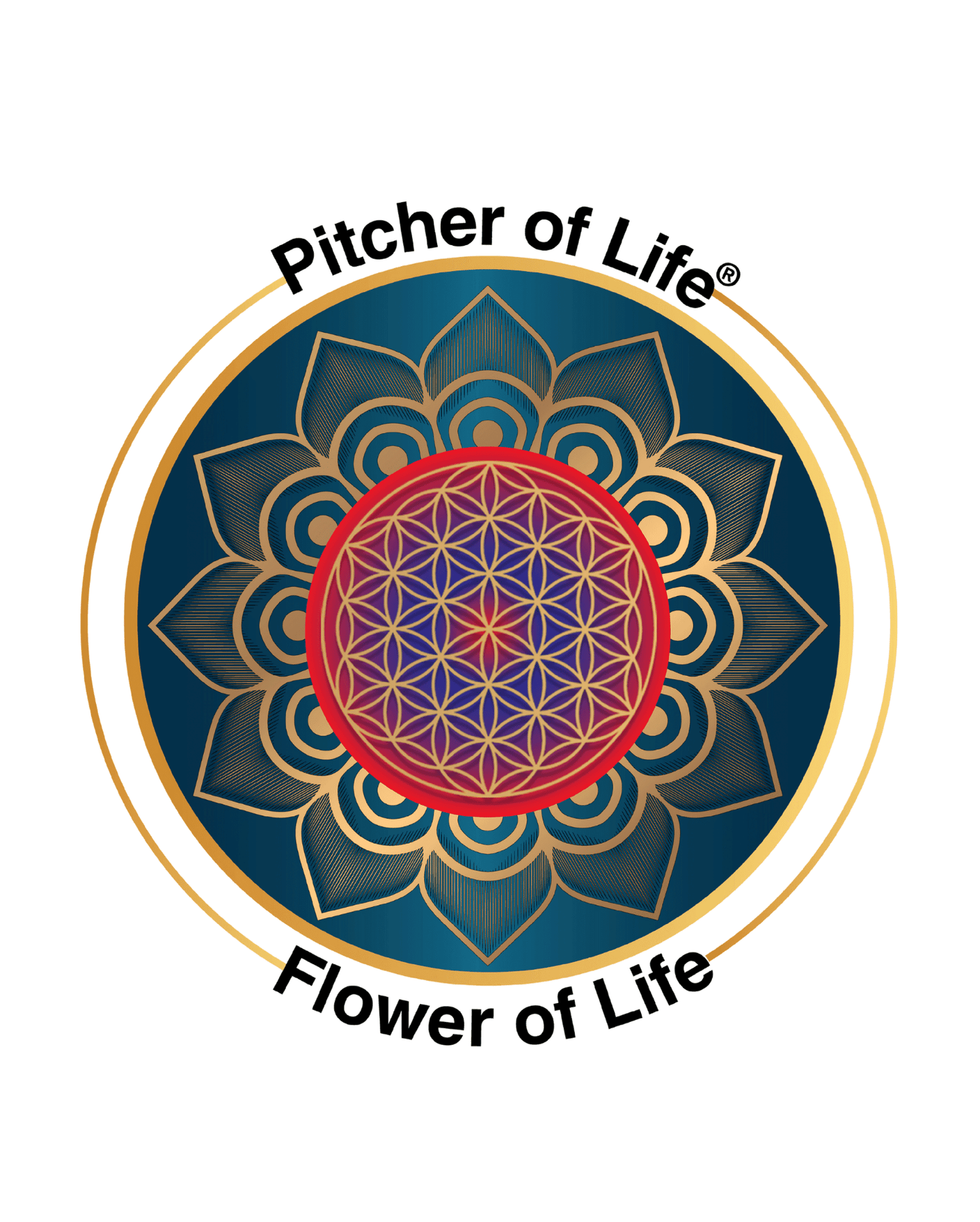 Flower of Life Symbol